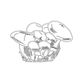 Honey Mushroom black and white clipart