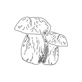 Porcini Mushroom black and white clipart
