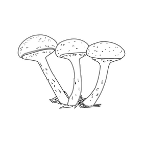 Maslata Mushroom black and white clipart