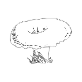 Russula Emetica black and white clipart