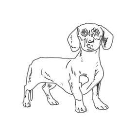 Dachshund black and white clipart