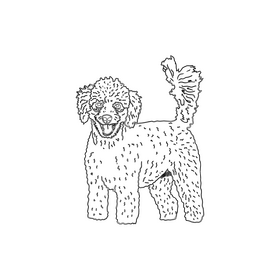 Poodle black and white clipart