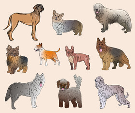 Dog Breeds vector