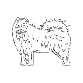 Samoyed Dog black and white clipart
