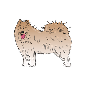 Samoyed Dog clipart