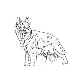 Shepherd black and white clipart