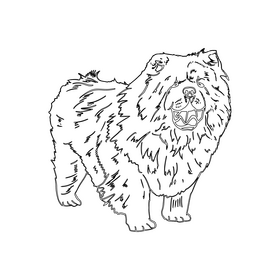 Chow Chow black and white clipart