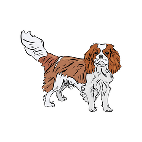 Cocker Spaniel clipart