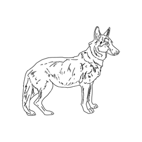 German Shepherd black and white clipart