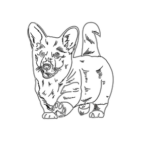Welsh Corgi black and white clipart