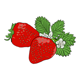 Strawberry clipart