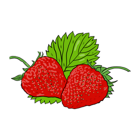 Two Strawberries with Leaves clipart