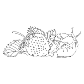 Whole and a Half of a Strawberry black and white clipart