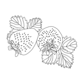 Strawberries with Leaves black and white clipart