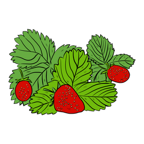 Strawberries with Green Leaves clipart