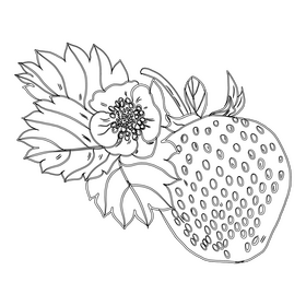 Strawberry with Leaves black and white clipart