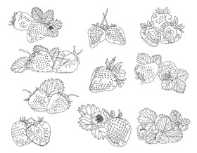 Strawberry black and white vector