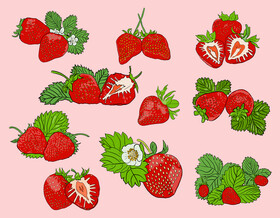 Strawberry vector