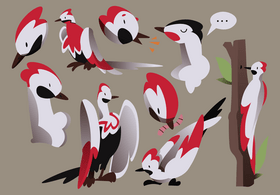 Woodpecker cartoon set vector