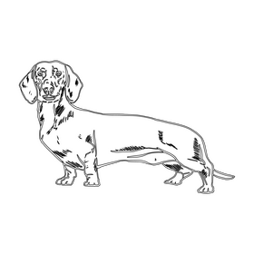 Dachshund black and white clipart