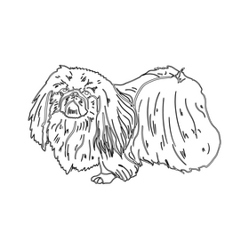 Pekingese black and white clipart