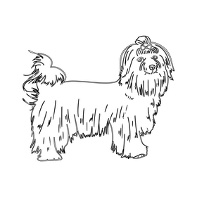 Lapdog black and white clipart