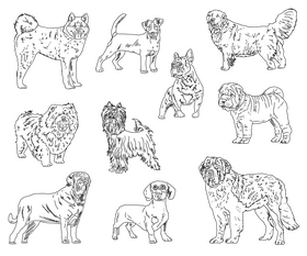 Dog Breeds black and white vector