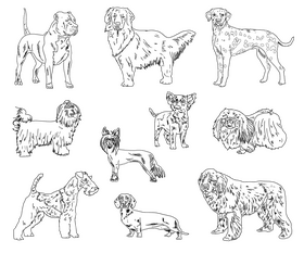 Dog Breeds black and white vector