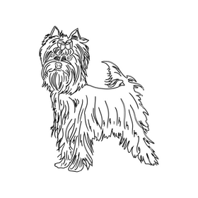 Yorkshire Terrier black and white clipart