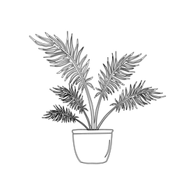 Majesty Palm black and white clipart free download