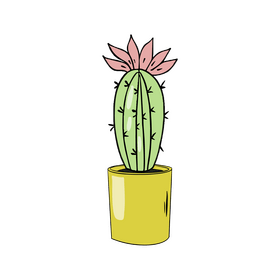 Powder Puff Cactus clipart