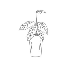 Potted Plant black and white clipart