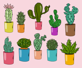 Set of Cactus vector