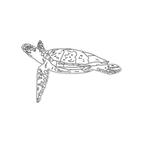 Sea Turtle black and white clipart
