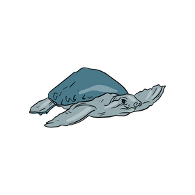 Blue Sea Turtle clipart