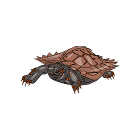 Turtle Clipart Free Download