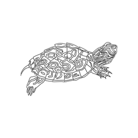 Western Painted Turtle black and white clipart
