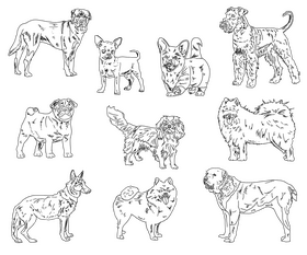 Dog Breeds black and white vector