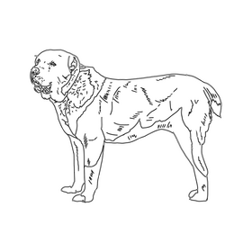 Alabai black and white clipart