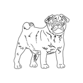 Pug Dog black and white clipart