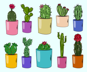 Set of Cactus vector