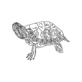 Turtle black and white clipart