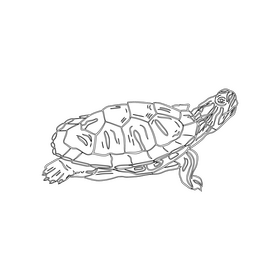 Turtle black and white clipart free download