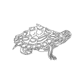 Turtle black and white clipart