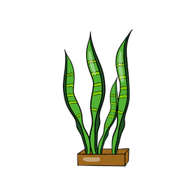 Snake Plant clipart