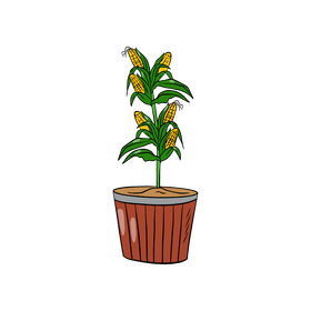 Corn Plant in Pot clipart