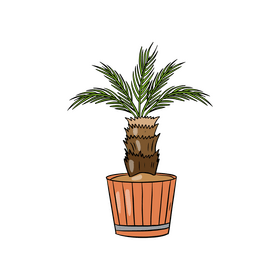 Palm Plant in Pot clipart