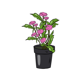 Gerbera Daisy in Pot clipart