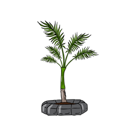 Palm Tree clipart