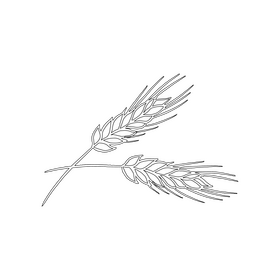 Wheat black and white clipart